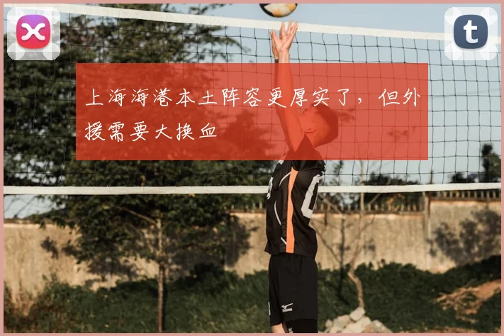 上海海港本土阵容更厚实了，但外援需要大换血