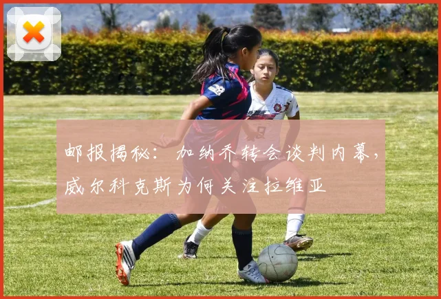 邮报揭秘：加纳乔转会谈判内幕，威尔科克斯为何关注拉维亚