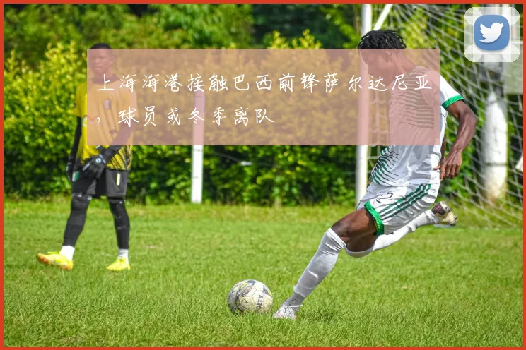 上海海港接触巴西前锋萨尔达尼亚，球员或冬季离队