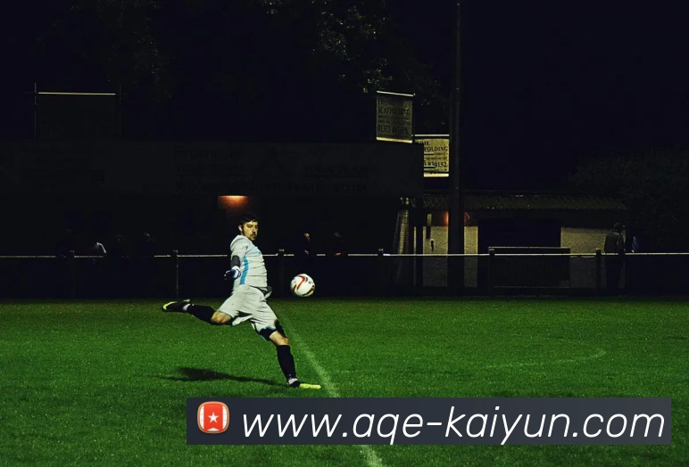 开云平台生态图